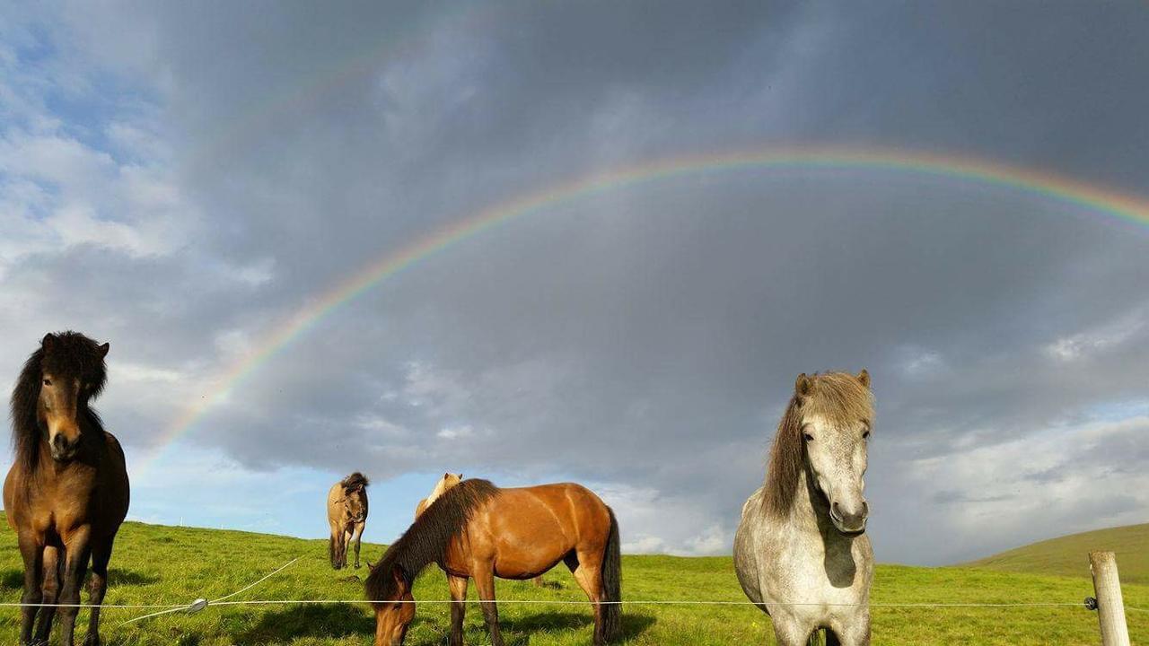 Hekla Adventures Villa Hvolsvöllur Dış mekan fotoğraf